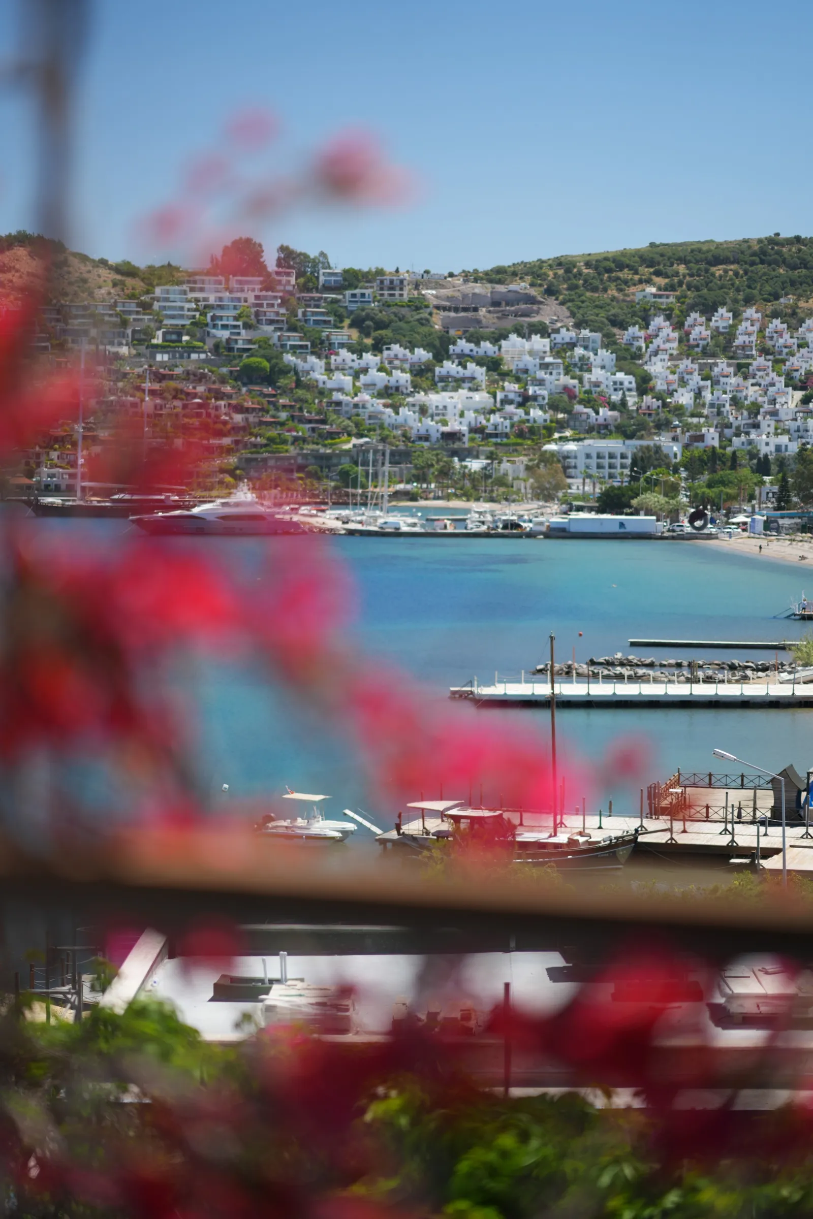 Costa Farilya 3