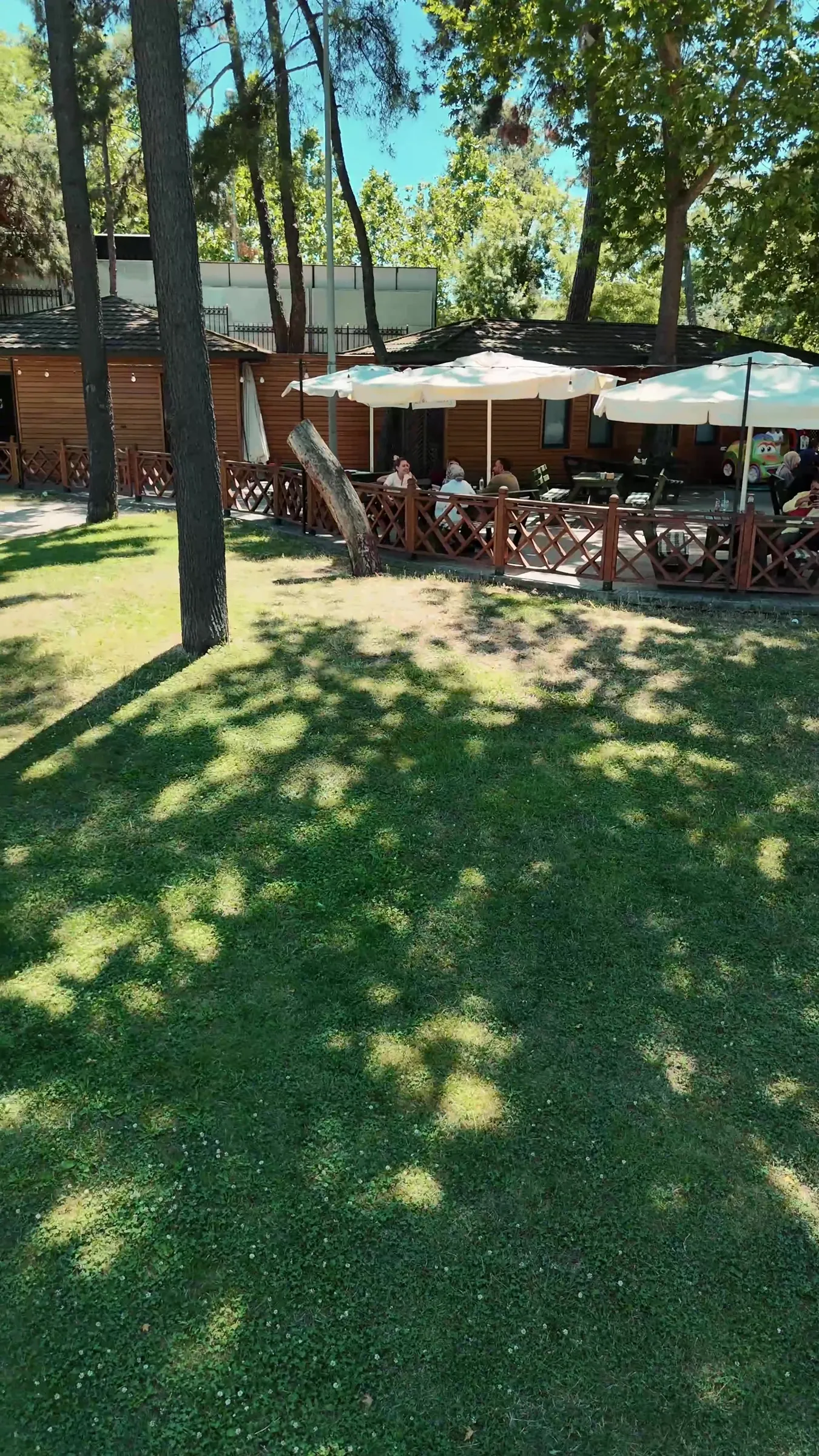 Doğal Dükkan 1
